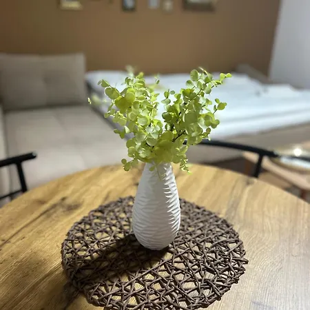 Liriq - Free Parking Saraievo